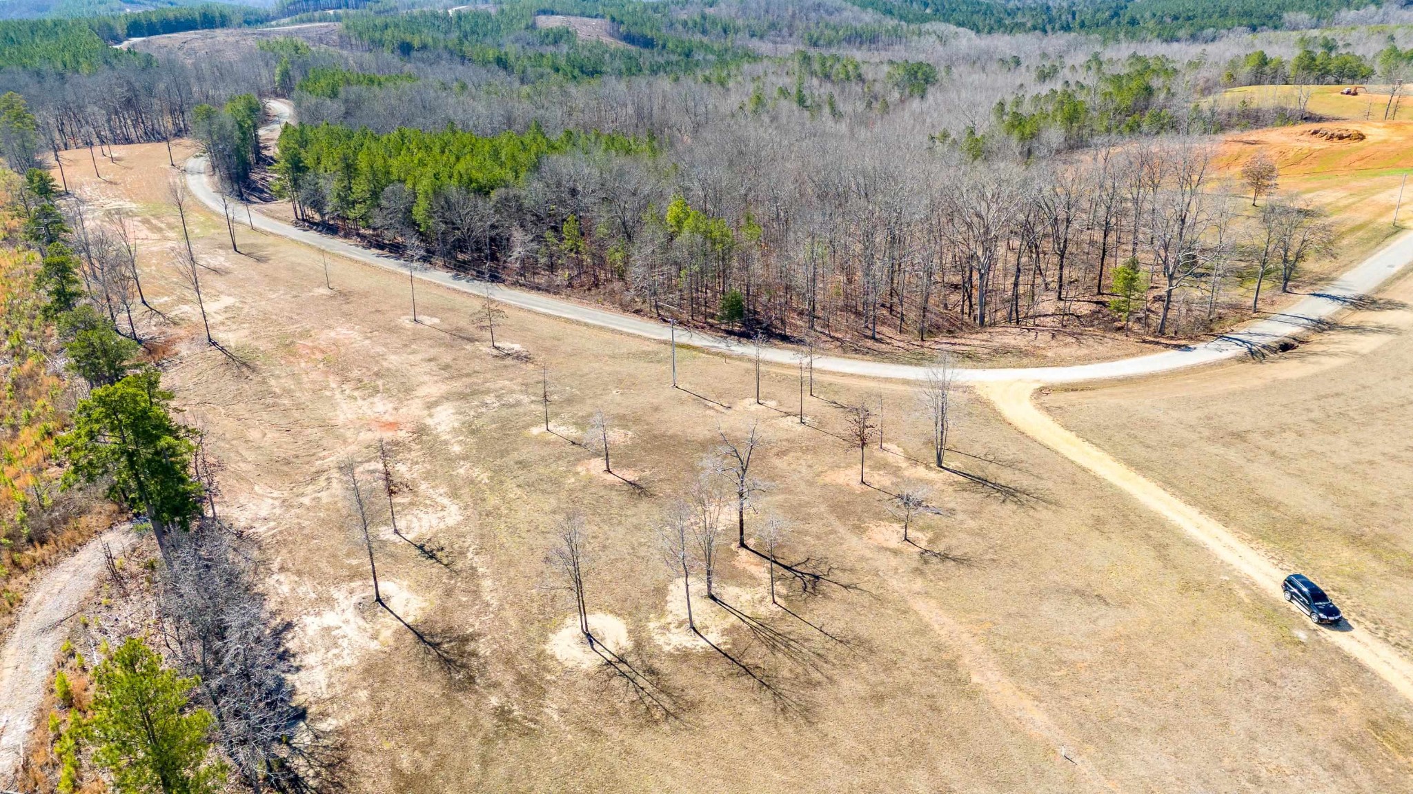 0 363rd Road Iuka, MS 38852 - Photo 12 of 20 Gallery Image 12