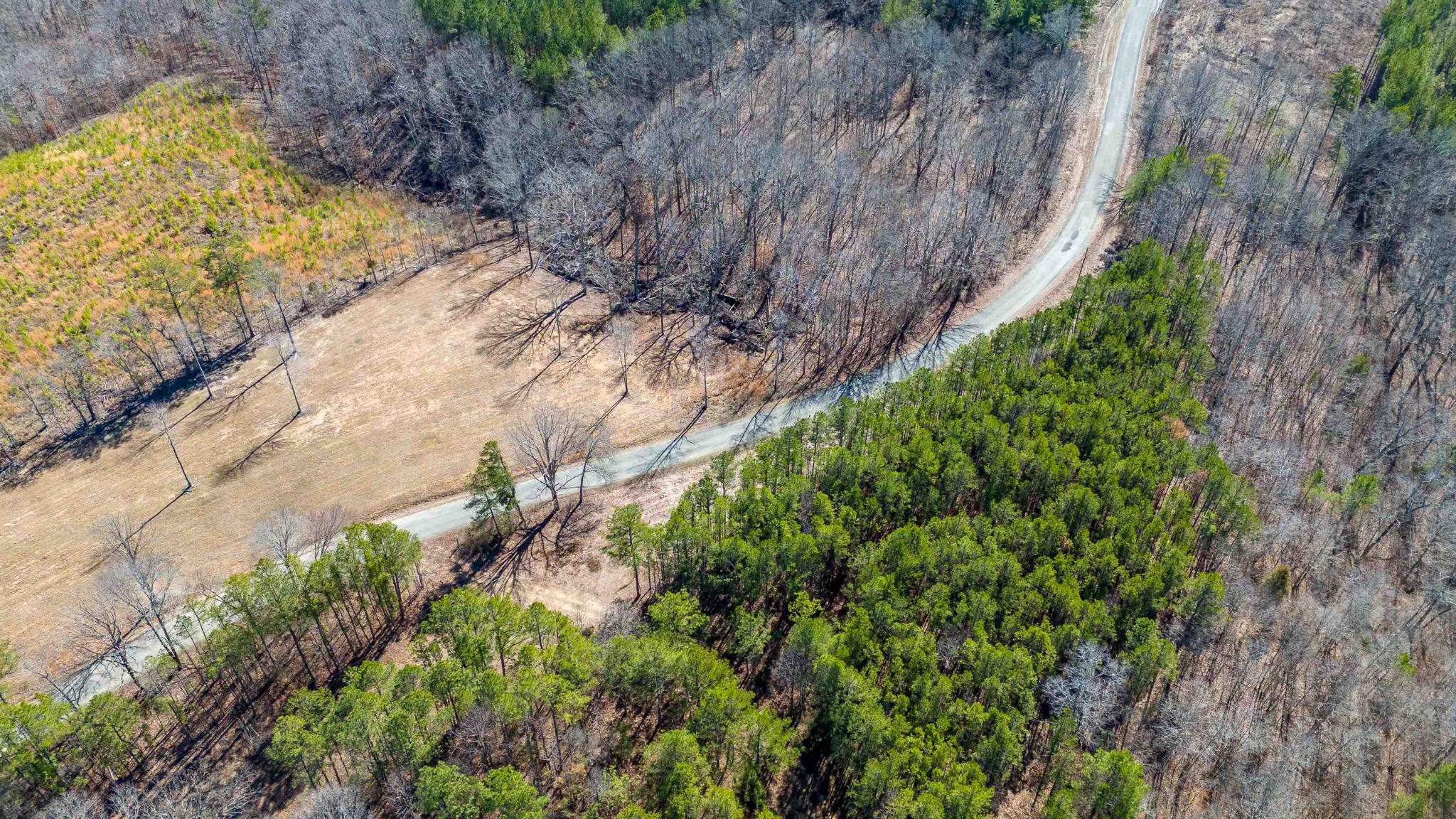 0 363rd Road Iuka, MS 38852 - Photo 16 of 20 Gallery Image 16