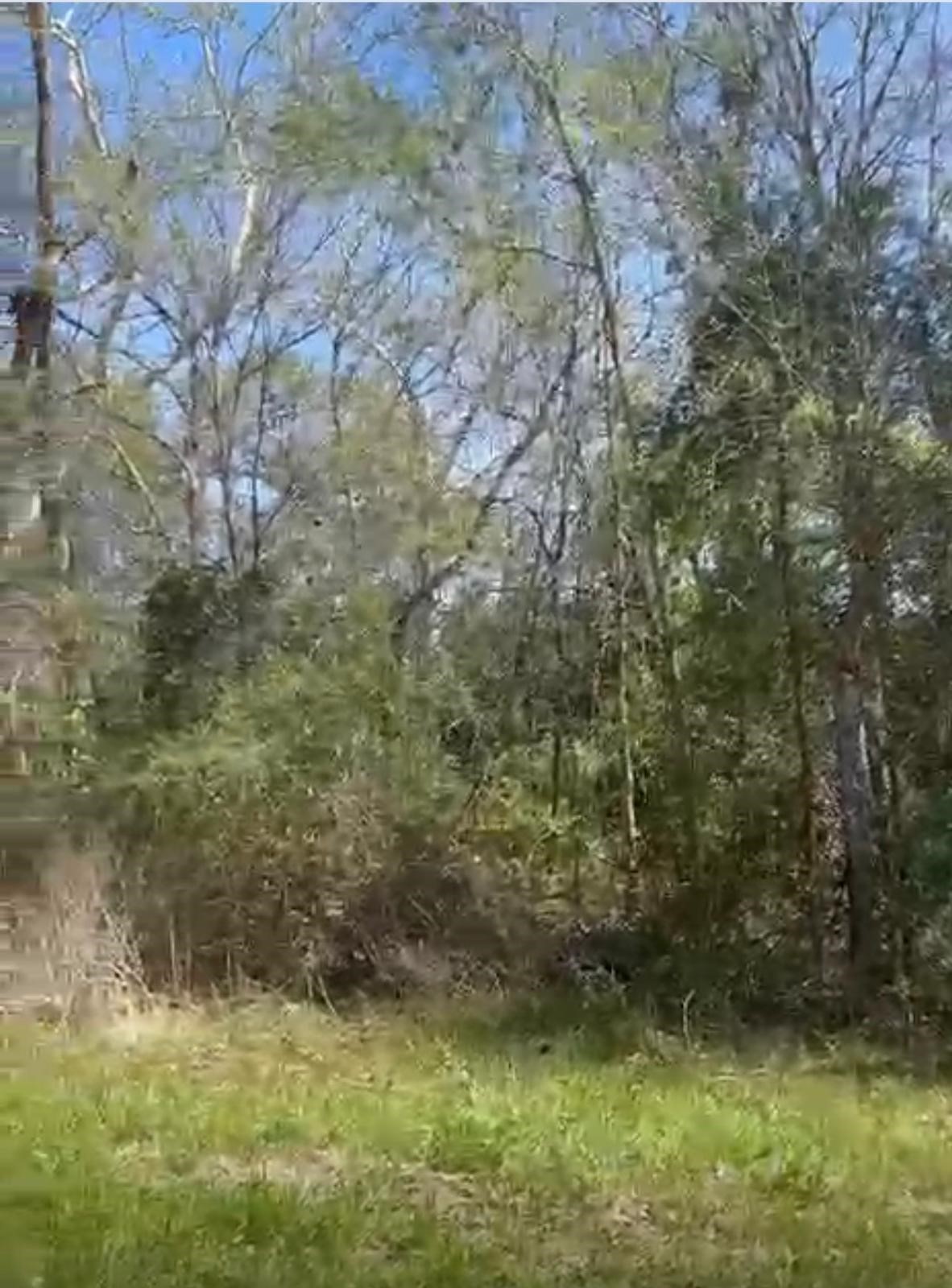 24961 Leitrim Road Hempstead, TX 77445 - Photo 1 of 5