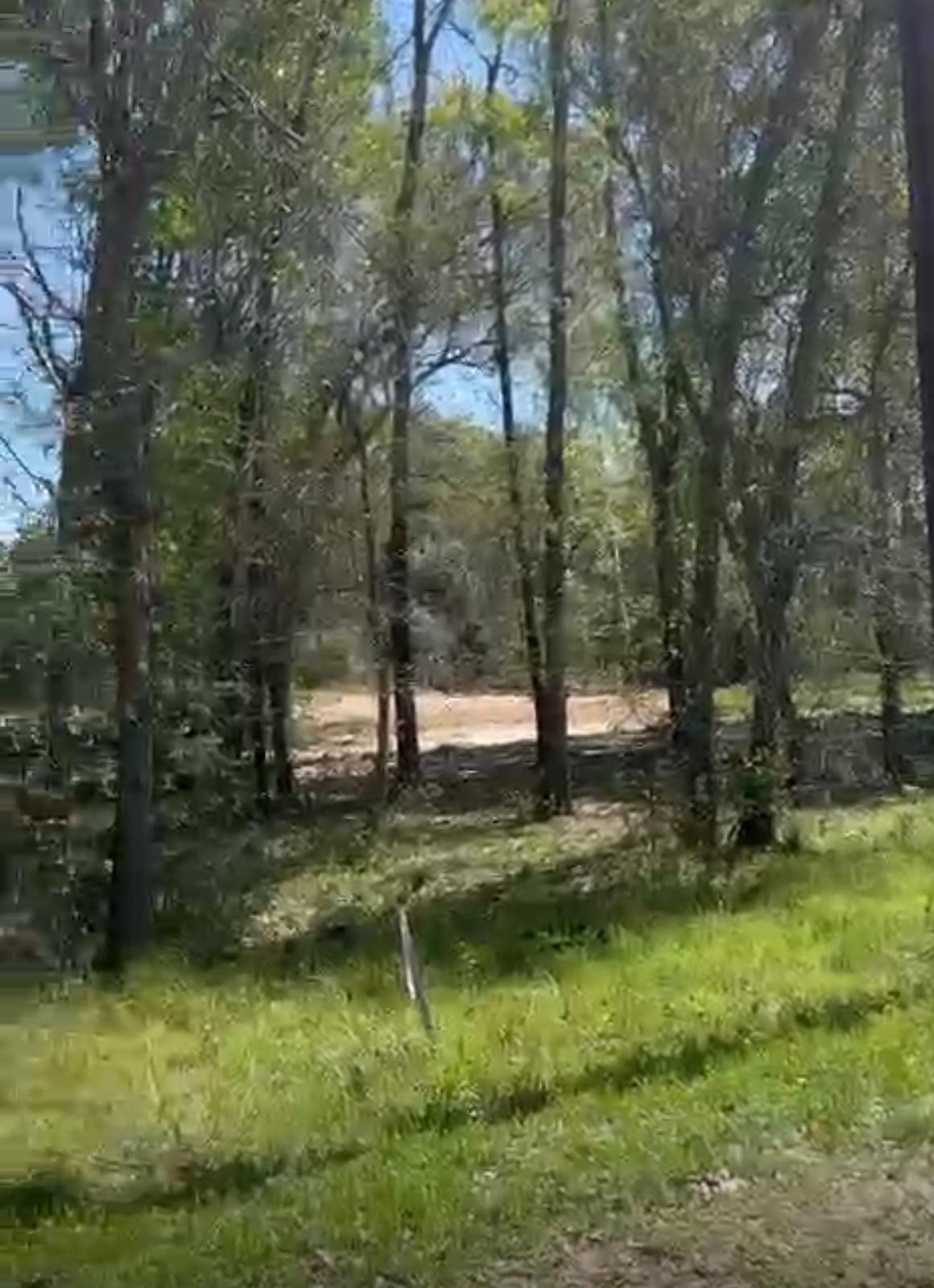 24961 Leitrim Road Hempstead, TX 77445 - Photo 2 of 5