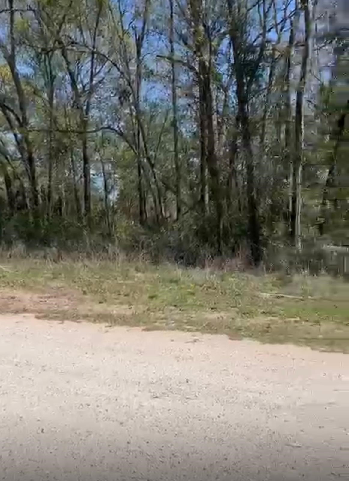 24961 Leitrim Road Hempstead, TX 77445 - Photo 3 of 5