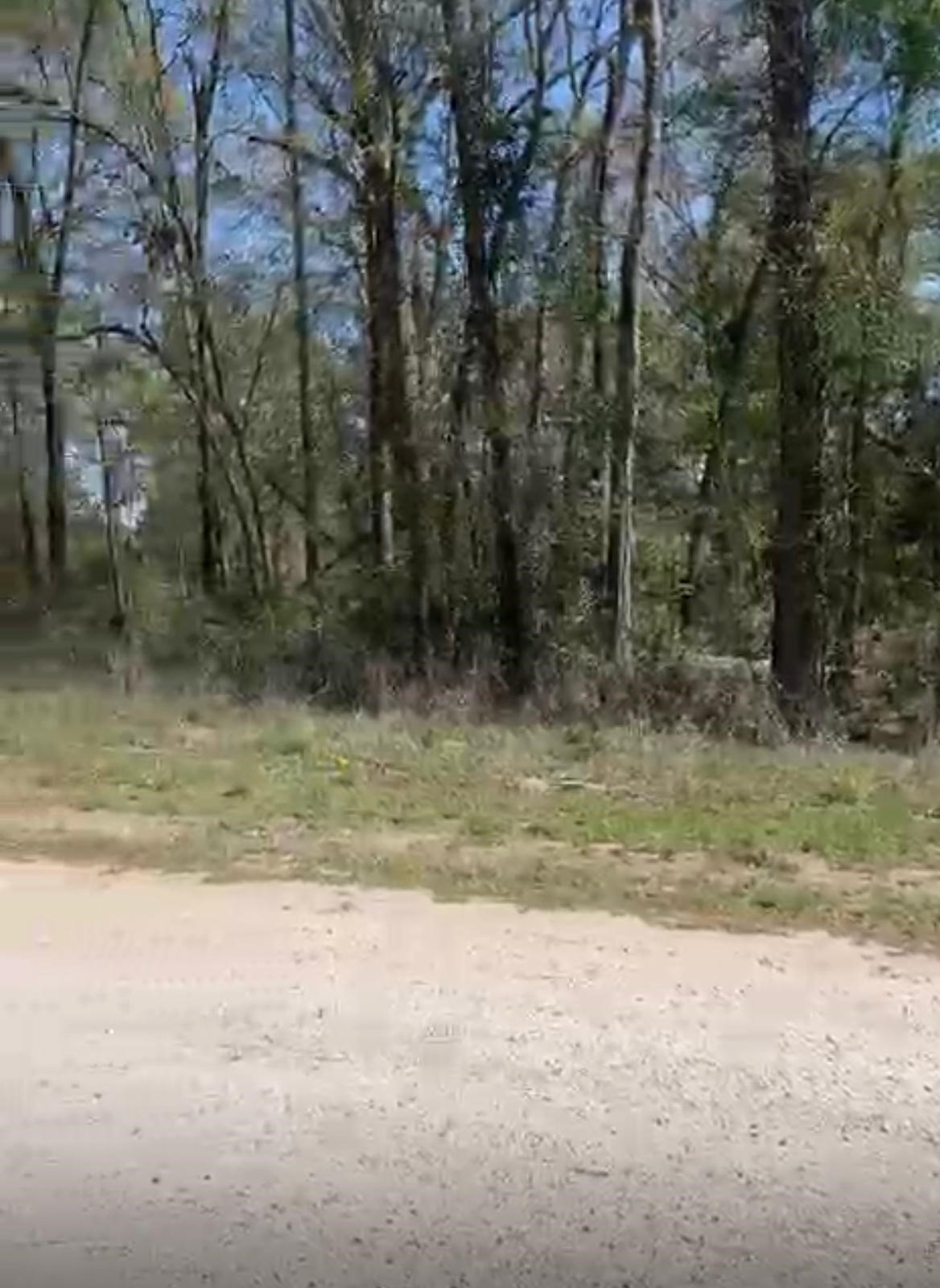 24961 Leitrim Road Hempstead, TX 77445 - Photo 4 of 5