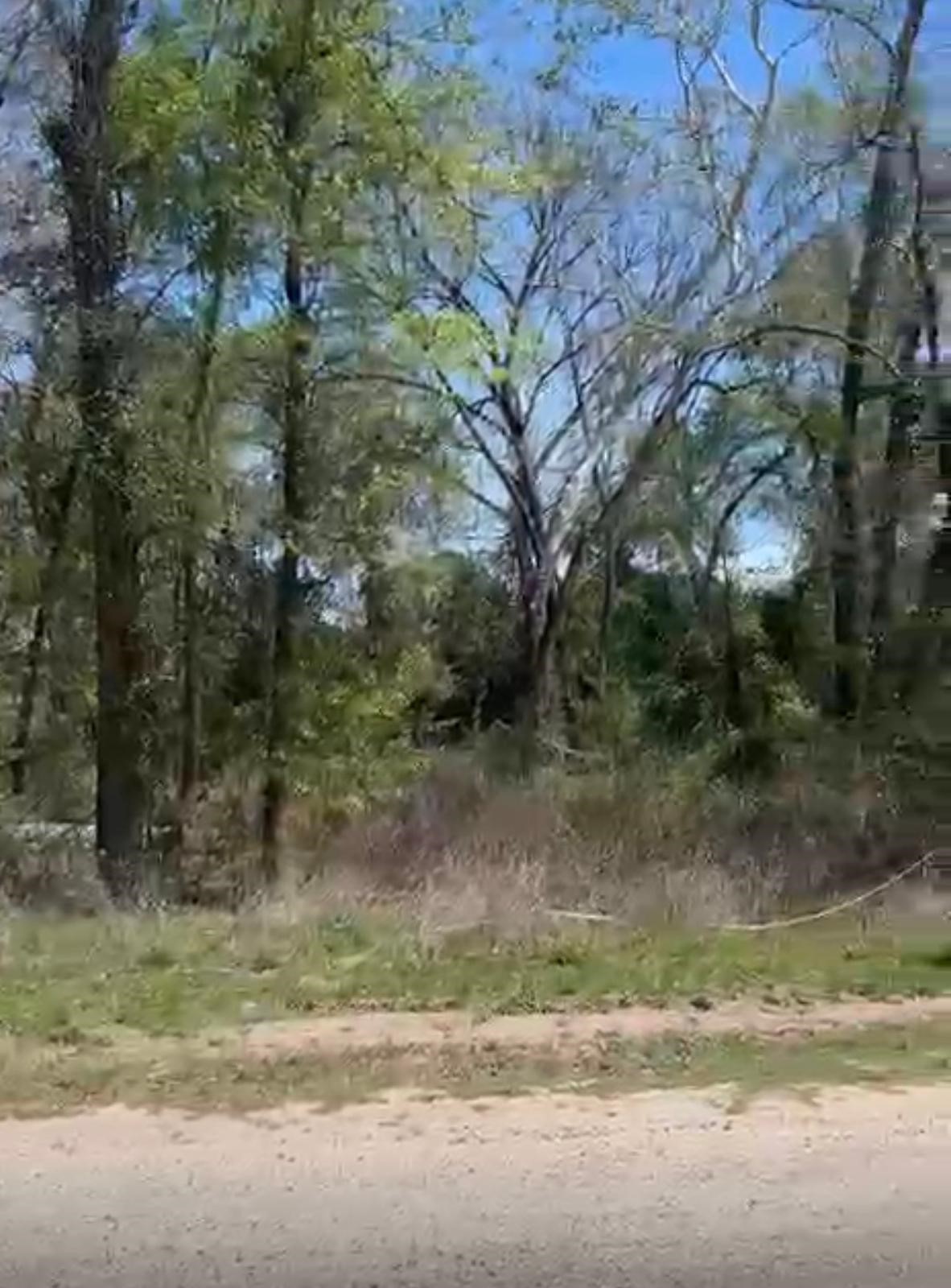 24961 Leitrim Road Hempstead, TX 77445 - Photo 5 of 5