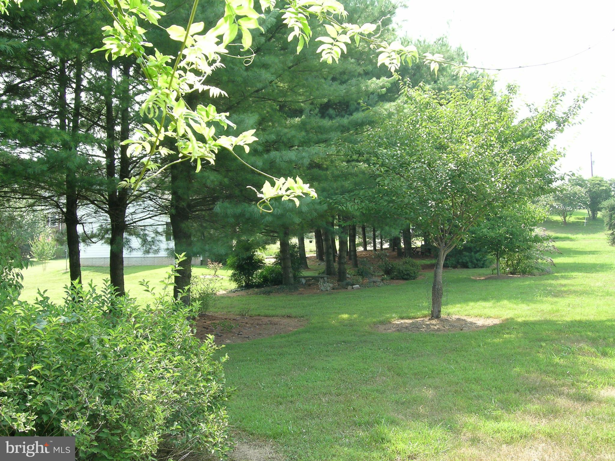 733 Utterback Store Road Great Falls, VA 22066 - Photo 16 of 27 Exterior (General)