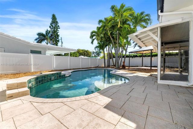 a view of a yard with plants and large trees