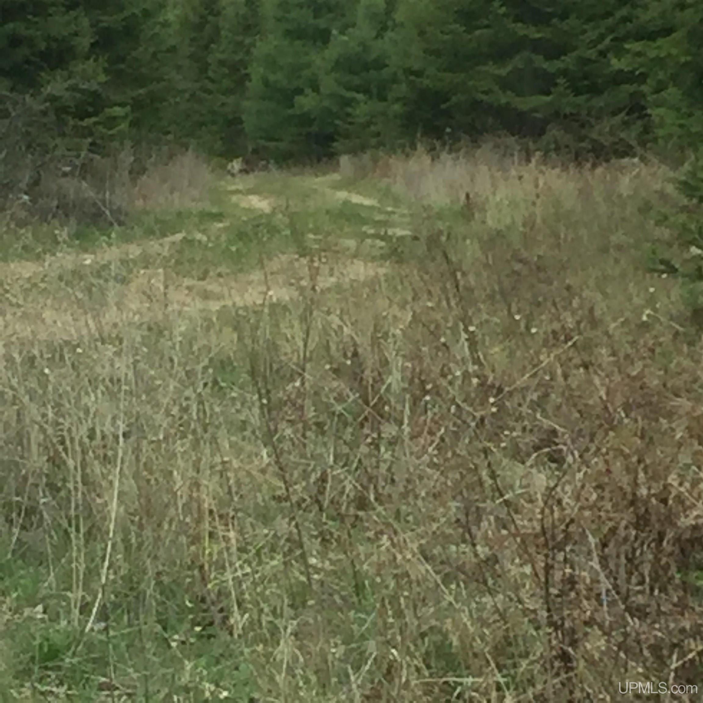5306 County 513 T Road Rapid River, MI 49878 - Photo 5 of 5