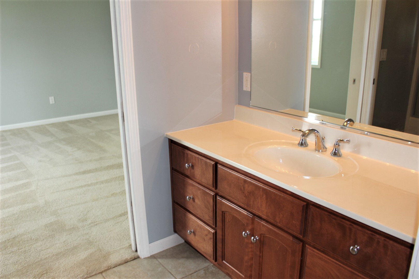 3978 Connors Road Clinton, IL 61727 - Photo 23 of 34 a bathroom with a sink and a mirror