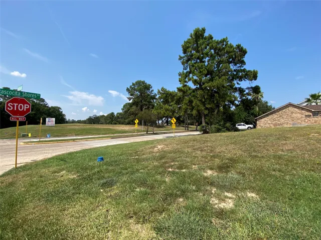 a view of a trees with a yard