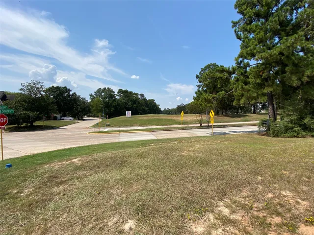 a view of grassy field with trees