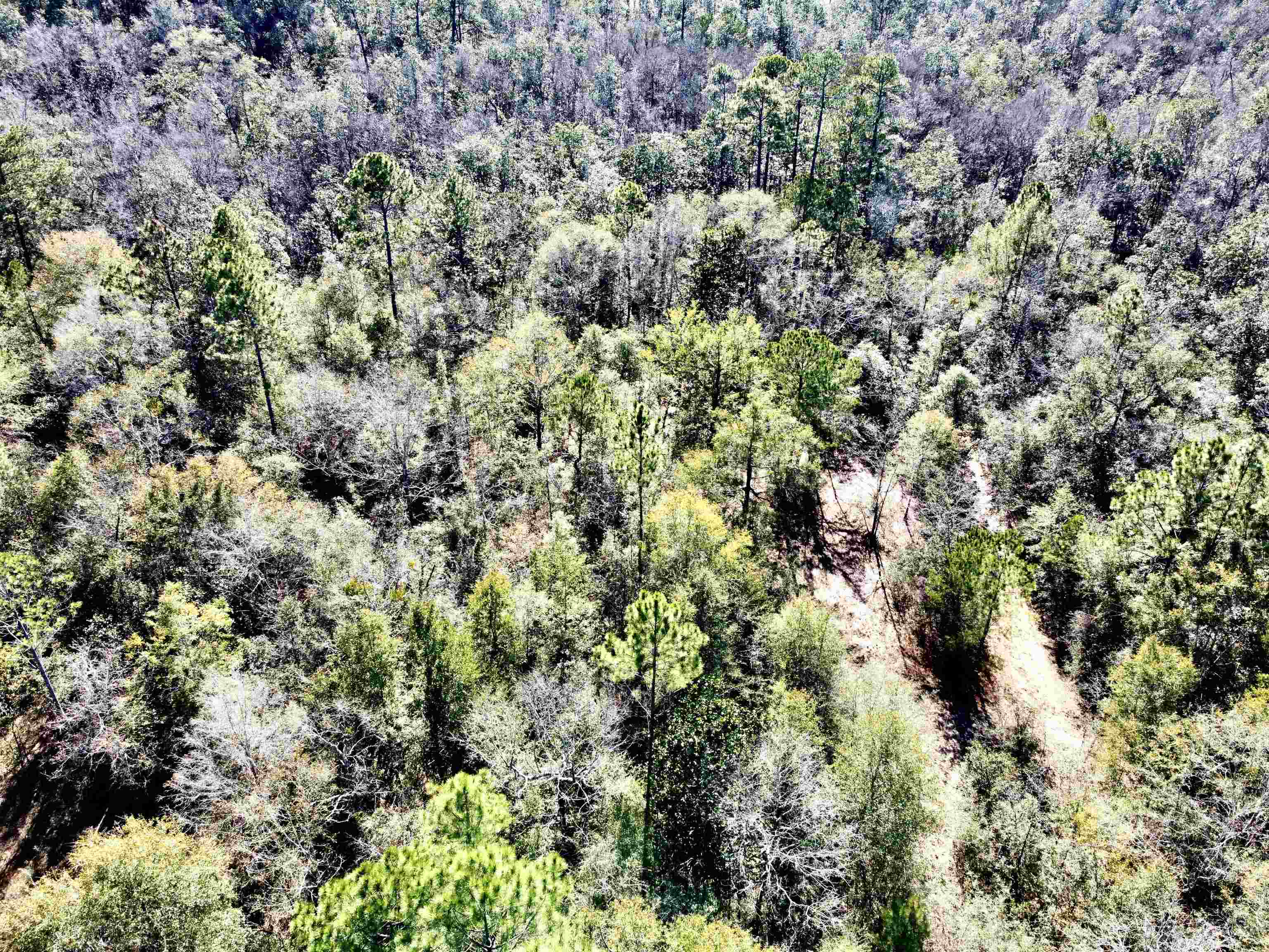 9640 Green Jordan Road Bay Minette, AL 36507 - Photo 10 of 32