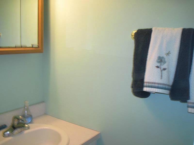 223 B Stone Quarry Road Monaca, PA 15061 - Photo 13 of 19 Partial Bath. There is a powder room on the main level. Nice feature!