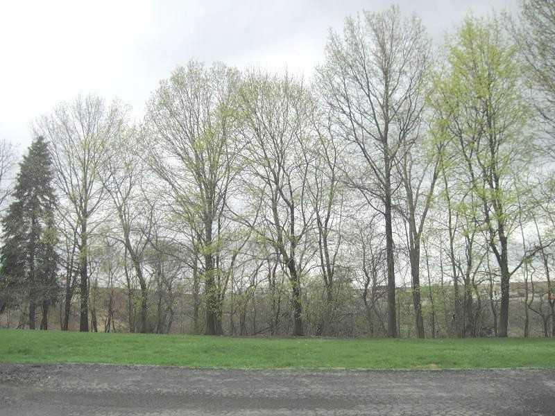 223 B Stone Quarry Road Monaca, PA 15061 - Photo 19 of 19 View. Parking in rear of complex.