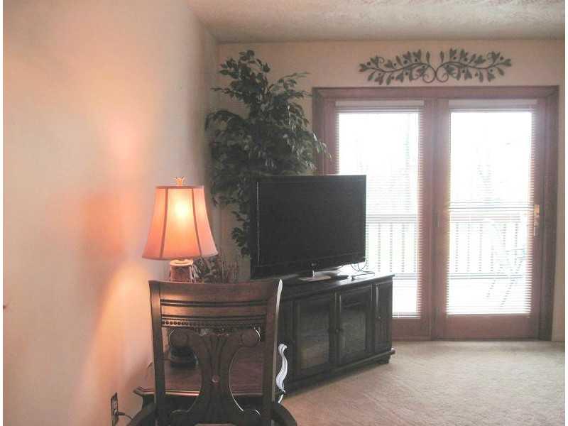 223 B Stone Quarry Road Monaca, PA 15061 - Photo 3 of 19 Living Room. Take note of the solid French doors that lead to the deck.