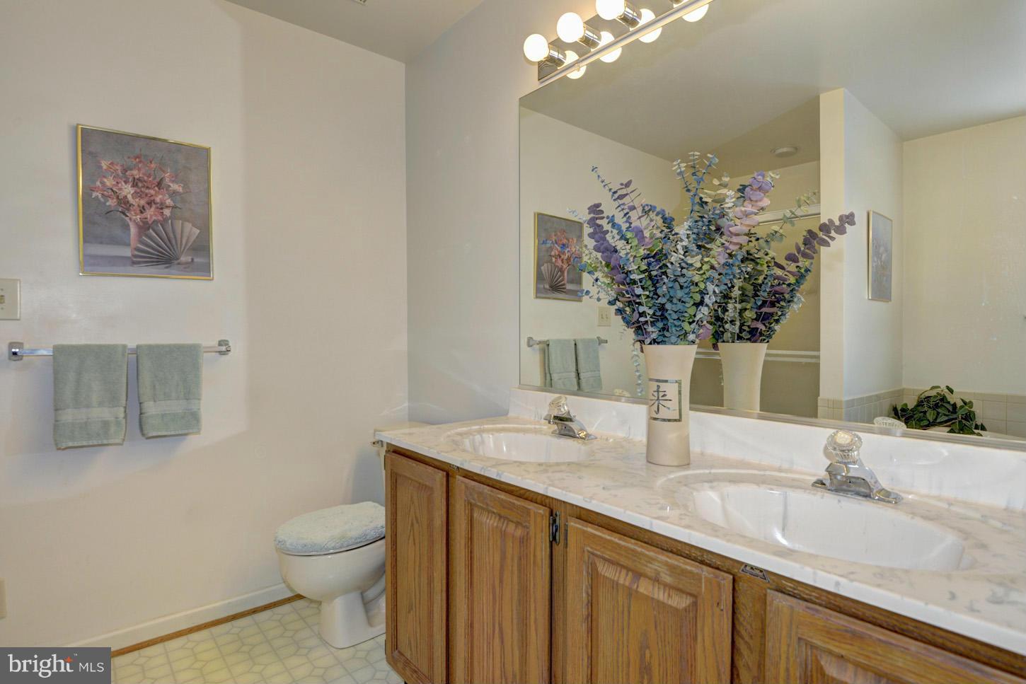 8565 Davis Road Columbia, MD 21045 - Photo 14 of 29 Master Bath