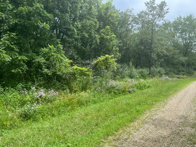 $2,700 | 28 Cedar Lane, Putnam, IL 61560