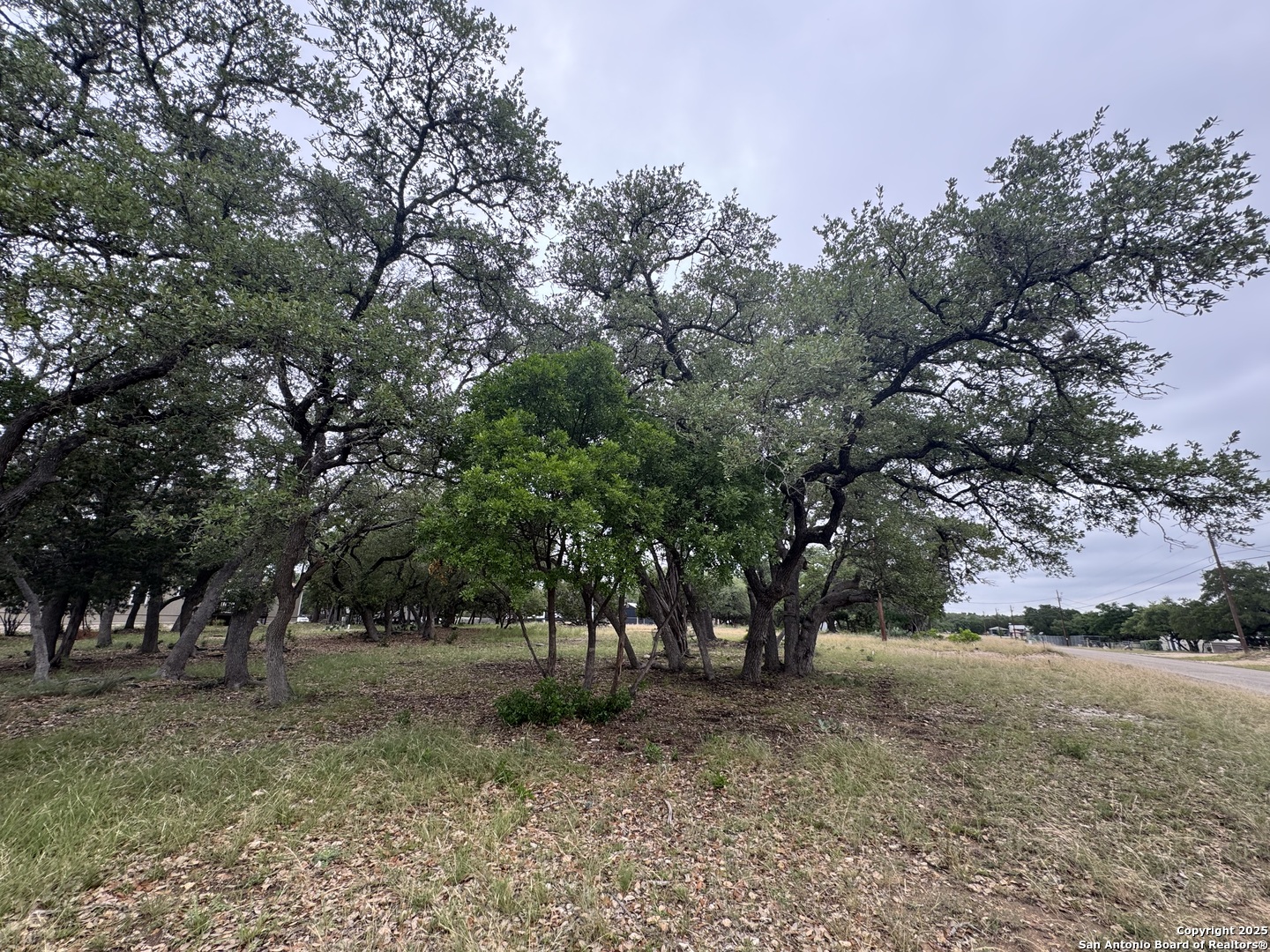 a view of outdoor space with trees
