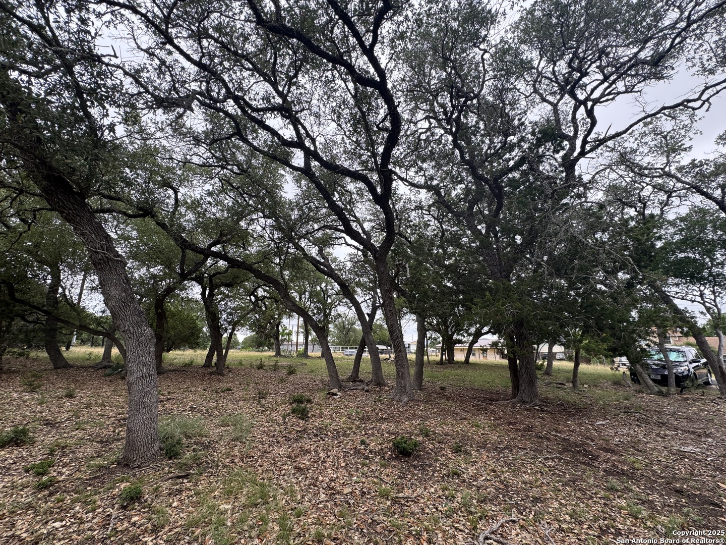 1508 Bandera Bandera, TX 78003 - Photo 3 of 8 a view of outdoor space with trees