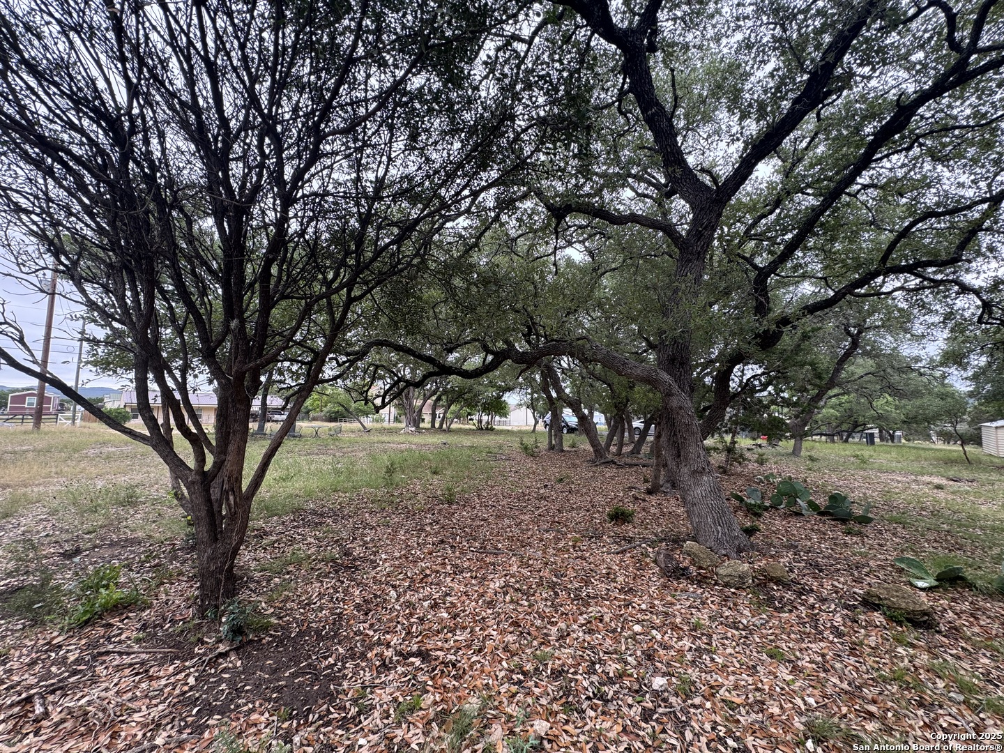 1508 Bandera Bandera, TX 78003 - Photo 4 of 8 a view of a trees in a yard