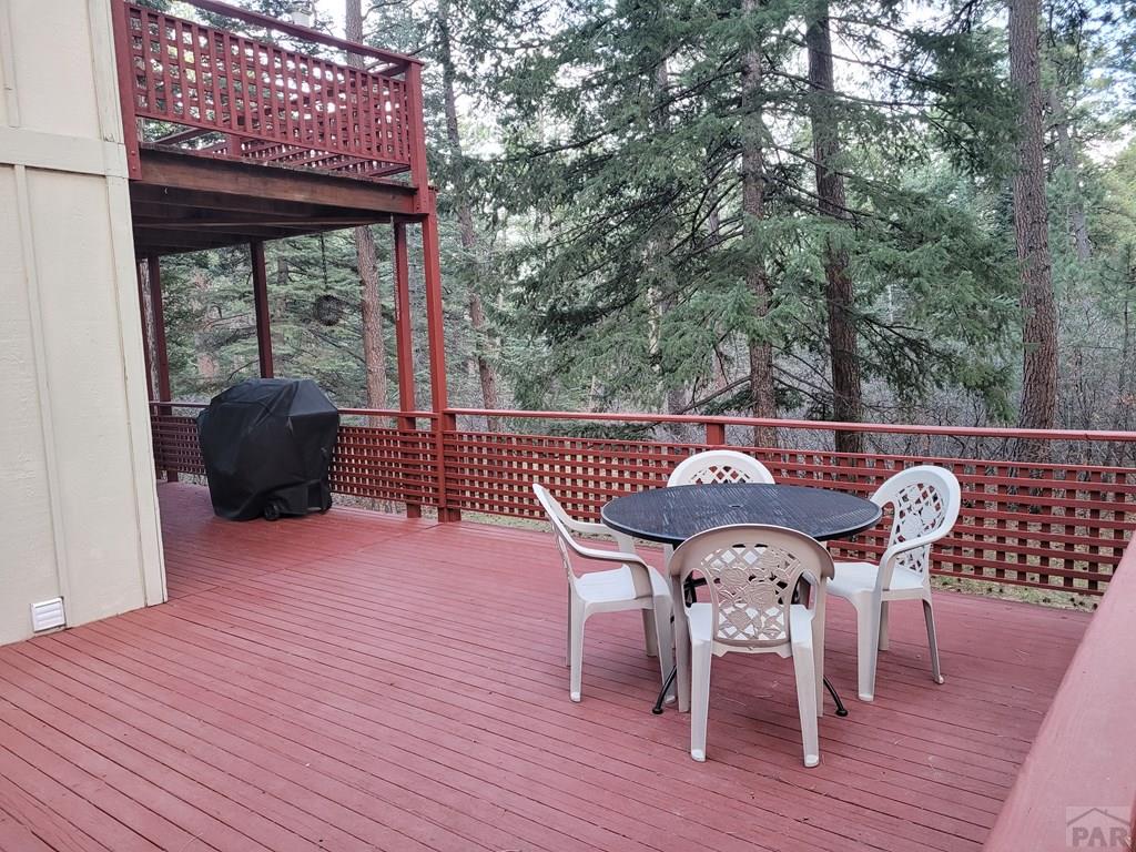 8329 Daisy Lane Rye, CO 81069 - Photo 9 of 41 Gallery Image 9