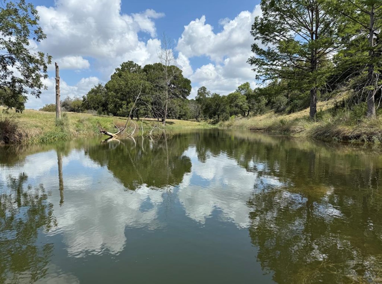 241 Highway 87 Comfort, TX 78013 - Photo 4 of 39 a view of a lake in between two large trees