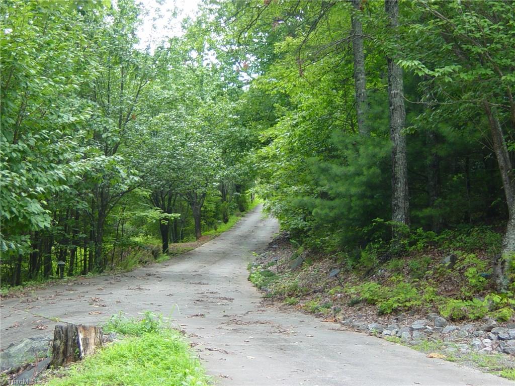 326 Cherokee Lane Purlear, NC 28665 - Photo 29 of 30 Private concrete drive.