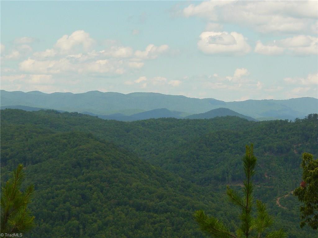 326 Cherokee Lane Purlear, NC 28665 - Photo 6 of 30 More fantastic views!!
