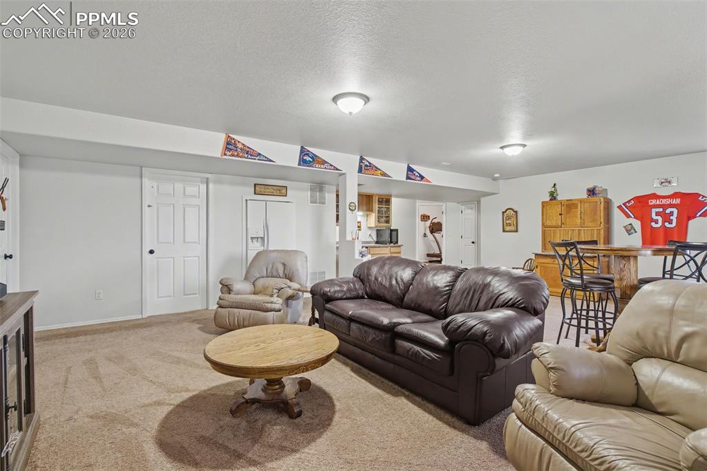 11938 Rio Secco Road Peyton, CO 80831 - Photo 42 of 48 Basement