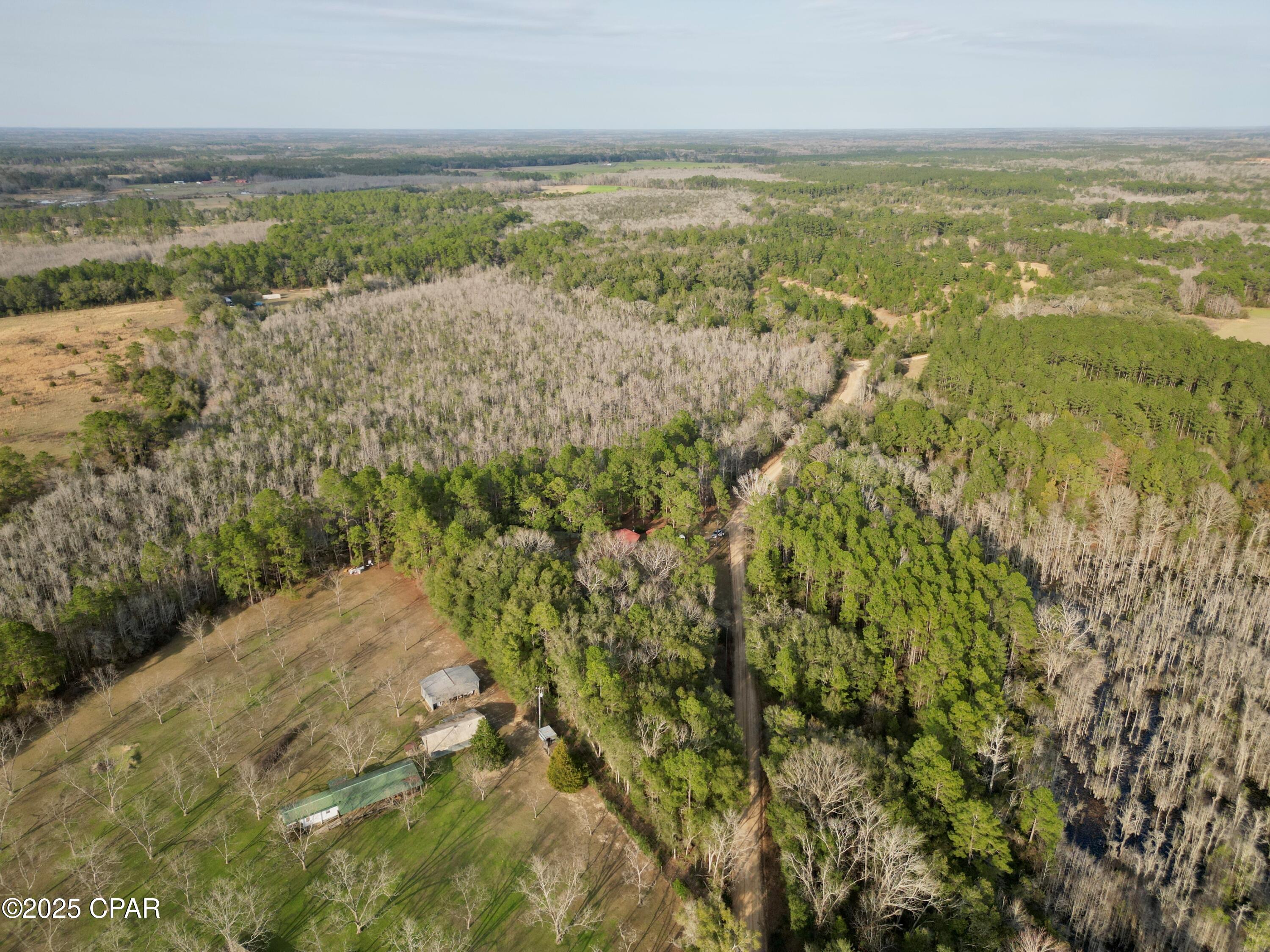 2206 James G Road Bonifay, FL 32425 - Photo 58 of 58 Gallery Image 58