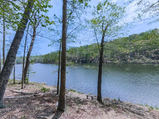 a view of a lake with a tree