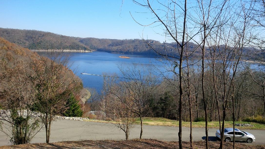 a view of a street with a large trees