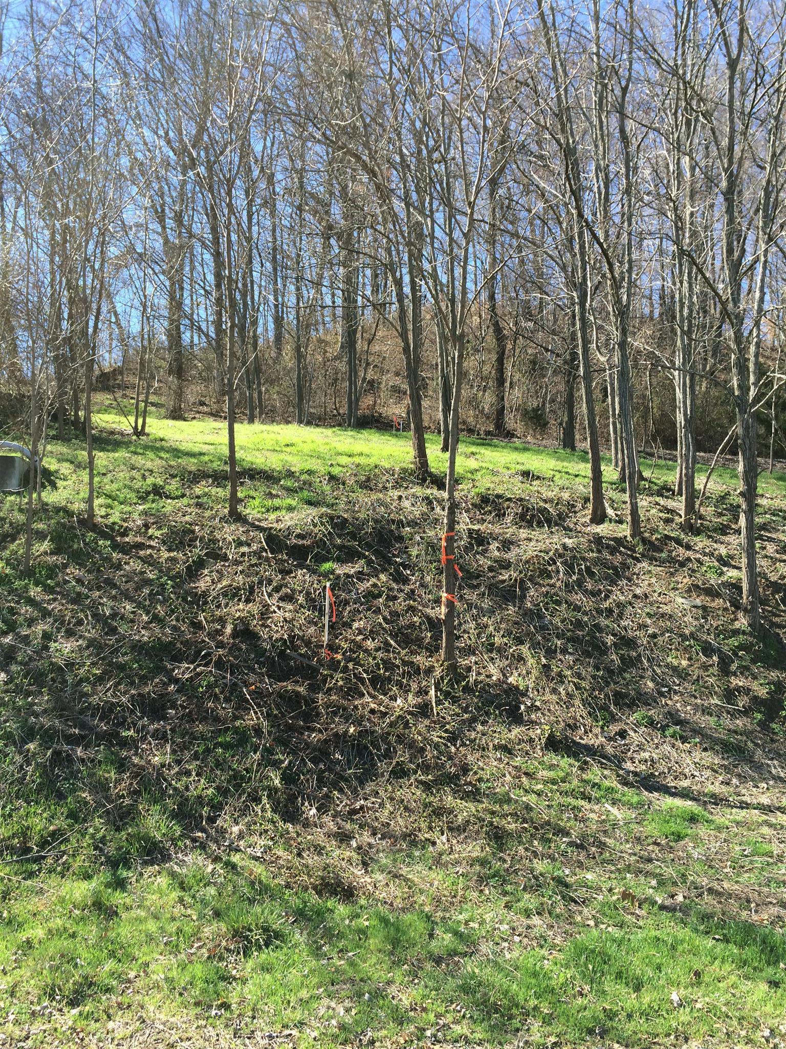 105 Harbor Pointe Drive Silver Point, TN 38582 - Photo 2 of 6 a view of a park with tree s