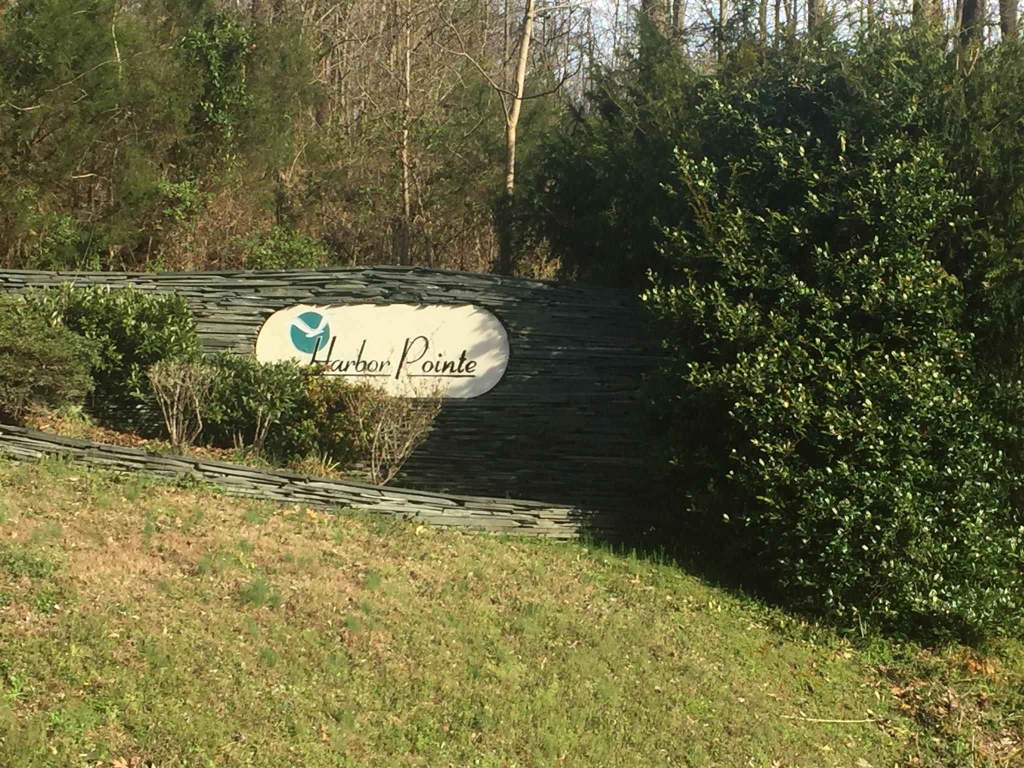 105 Harbor Pointe Drive Silver Point, TN 38582 - Photo 6 of 6 a view of a small yard