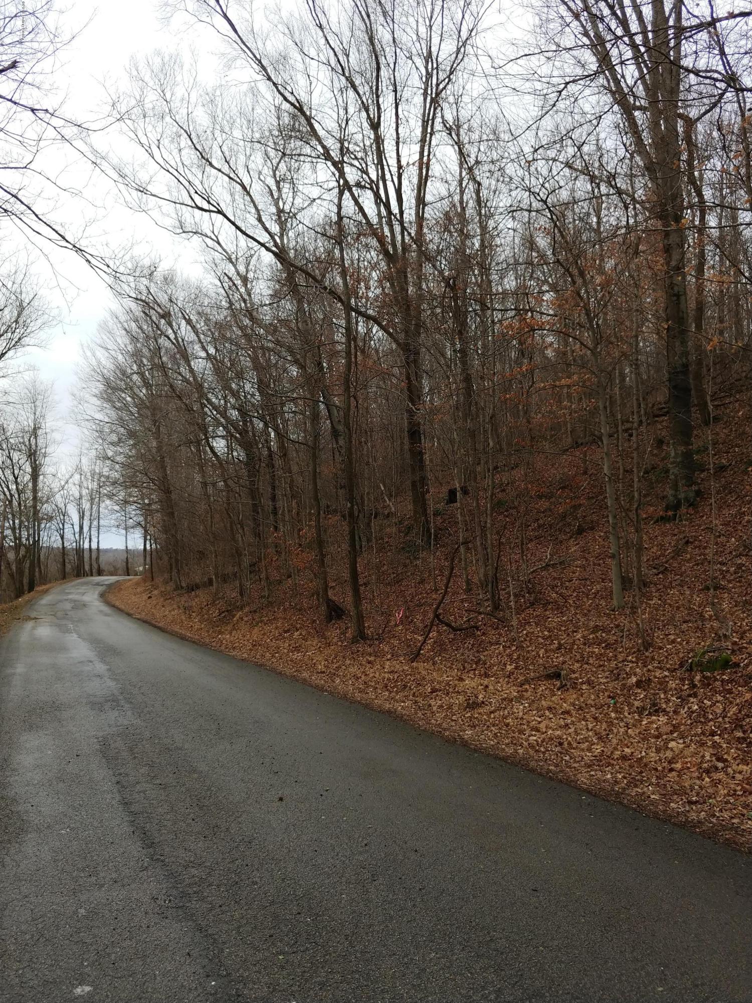 327 Dog Creek Road Caneyville, KY 42721 - Photo 1 of 5 road frontage