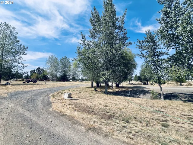 a view of a yard with a tree