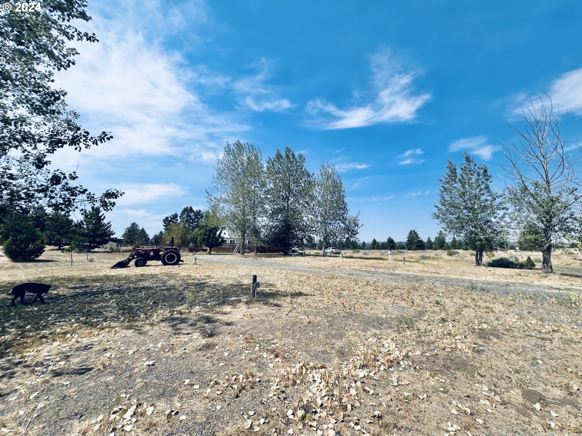 123 Dot Road Roosevelt, WA 99356 - Photo 21 of 27