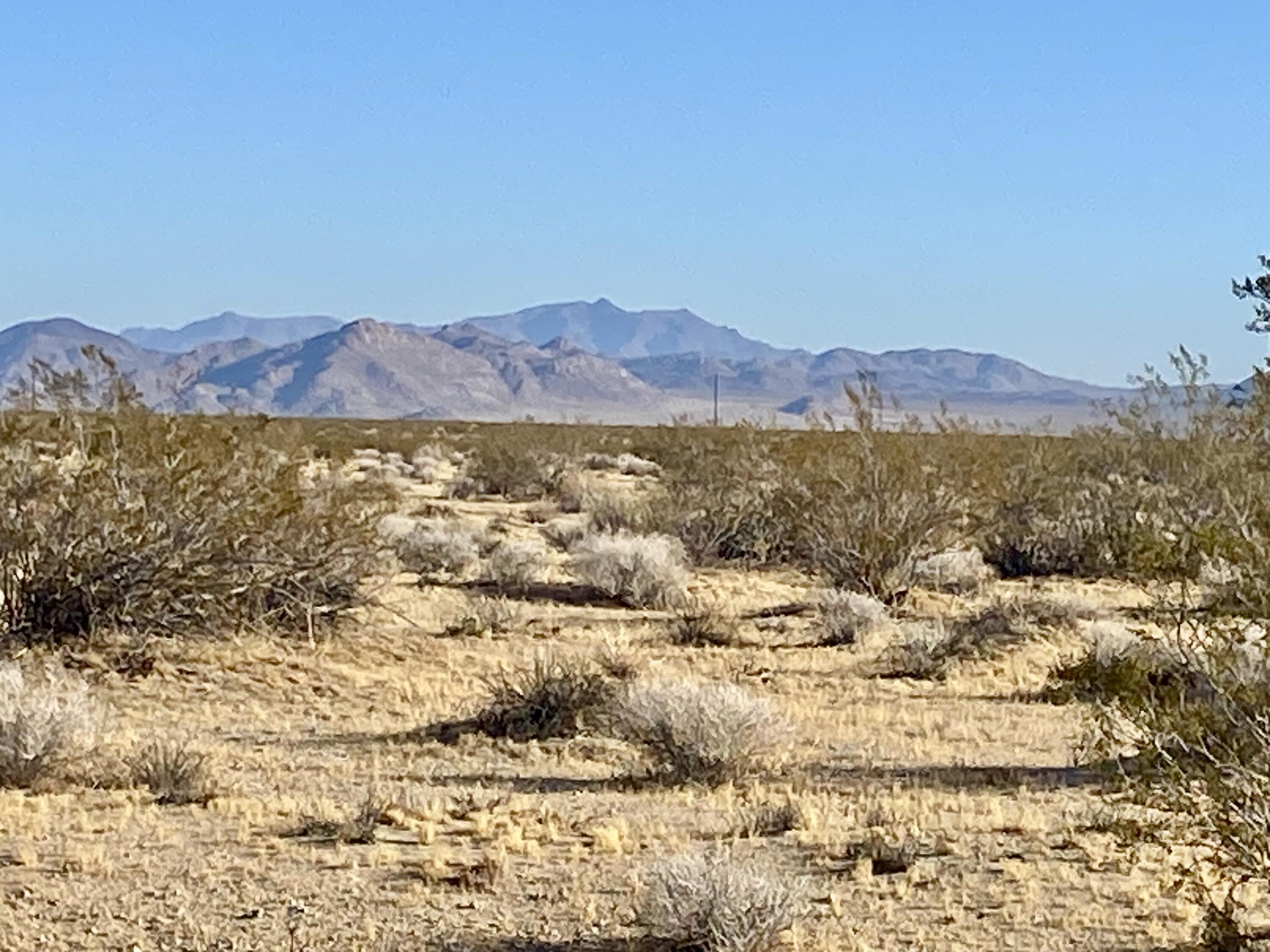 104 Joshua Tree Road Johnson Valley, CA 92285 - Photo 23 of 55 IMG_8400
