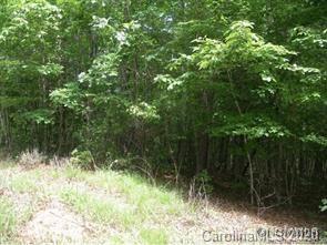 19 South Pointe Road Mill Spring, NC 28756 - Photo 1 of 8 a view of backyard with green space