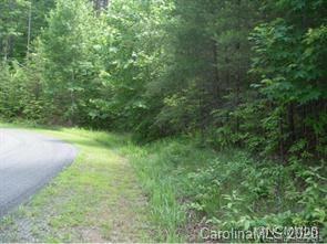 19 South Pointe Road Mill Spring, NC 28756 - Photo 2 of 8 a view of a lush green space