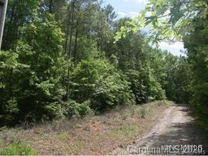 19 South Pointe Road Mill Spring, NC 28756 - Photo 3 of 8 a view of a forest with a tree