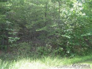 19 South Pointe Road Mill Spring, NC 28756 - Photo 4 of 8 a view of a forest