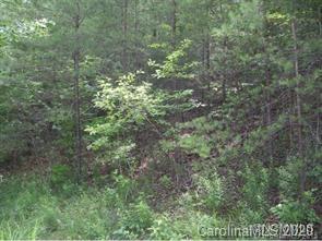 19 South Pointe Road Mill Spring, NC 28756 - Photo 5 of 8 a view of a yard
