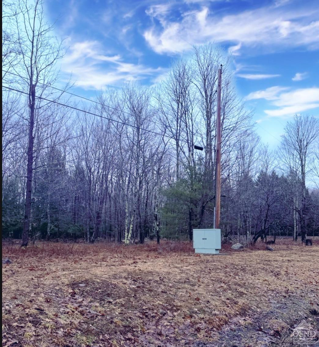 0 Ford Hill Road Hunter, NY 12442 - Photo 11 of 23 electricity on-site