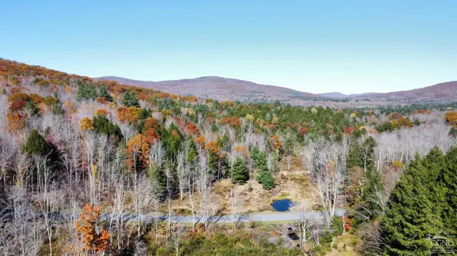 $499,000 | 0 Ford Hill Road, Hunter, NY 12442