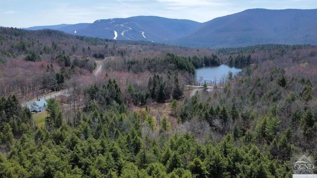 $499,000 | 0 Ford Hill Road, Hunter, NY 12442
