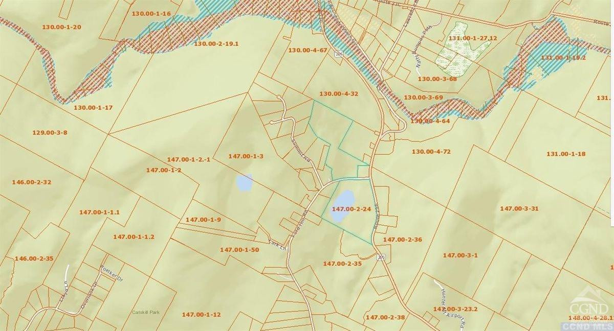 0 Ford Hill Road Hunter, NY 12442 - Photo 16 of 23 Photo 13