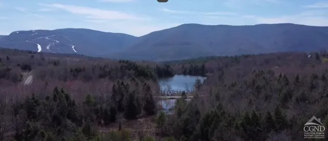 $499,000 | 0 Ford Hill Road, Hunter, NY 12442