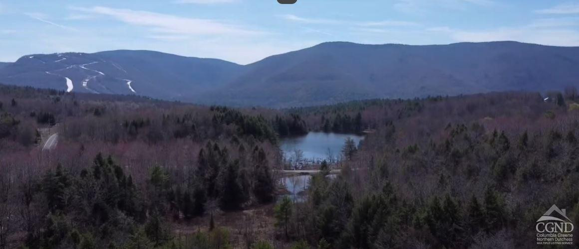 0 Ford Hill Road Hunter, NY 12442 - Photo 18 of 23 Photo 15