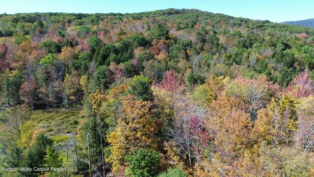 $499,000 | 0 Ford Hill Road, Hunter, NY 12442