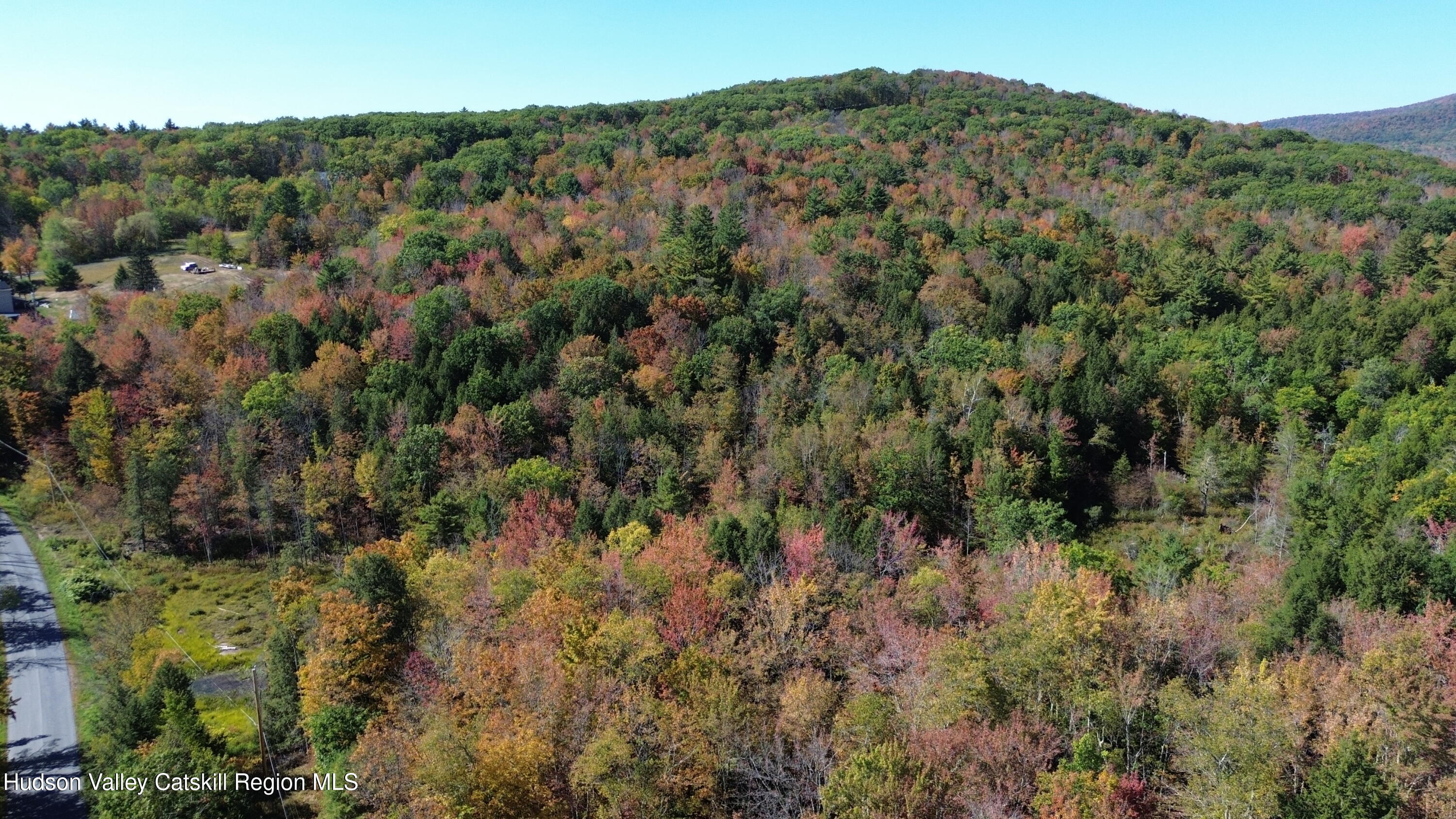 0 Ford Hill Road Hunter, NY 12442 - Photo 20 of 23 DJI_0439
