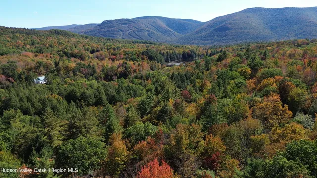 $499,000 | 0 Ford Hill Road, Hunter, NY 12442